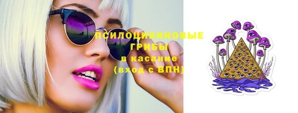 PSILOCYBIN Абдулино