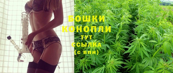 PSILOCYBIN Абдулино