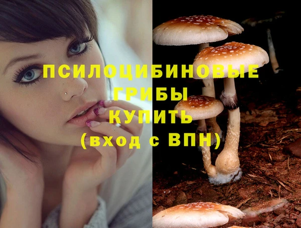 героин Абаза